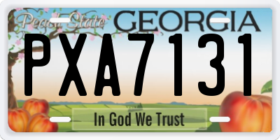 GA license plate PXA7131