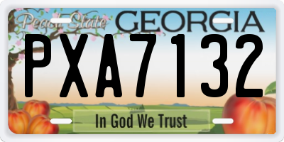 GA license plate PXA7132