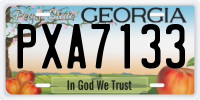 GA license plate PXA7133