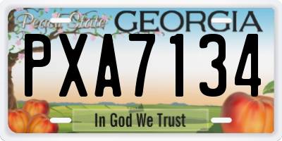 GA license plate PXA7134