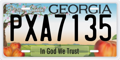 GA license plate PXA7135