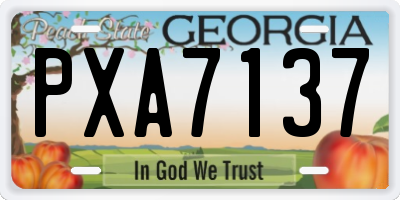 GA license plate PXA7137