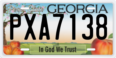 GA license plate PXA7138