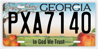 GA license plate PXA7140