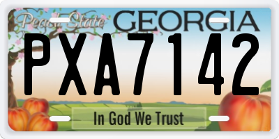 GA license plate PXA7142