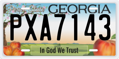GA license plate PXA7143