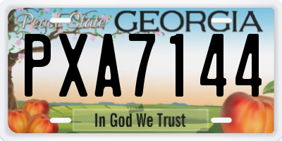 GA license plate PXA7144