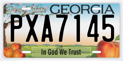 GA license plate PXA7145
