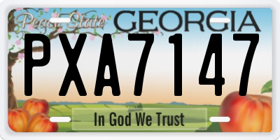 GA license plate PXA7147