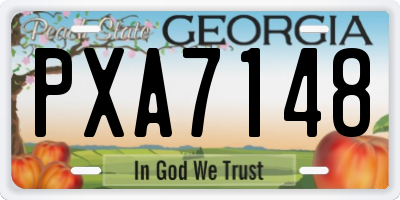 GA license plate PXA7148
