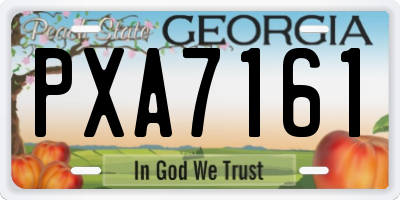 GA license plate PXA7161