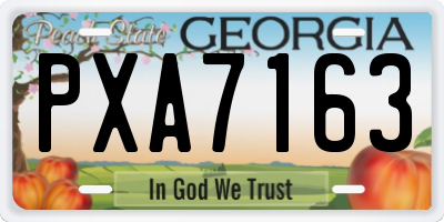 GA license plate PXA7163