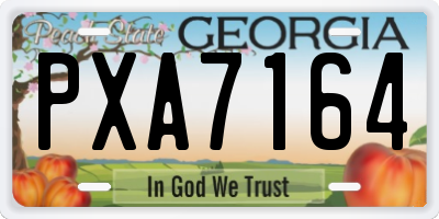 GA license plate PXA7164