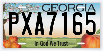 GA license plate PXA7165
