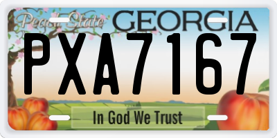 GA license plate PXA7167