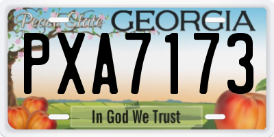 GA license plate PXA7173