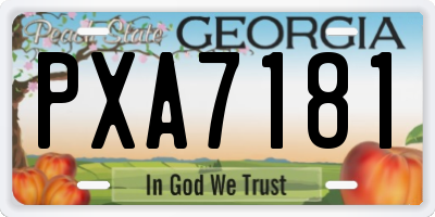 GA license plate PXA7181