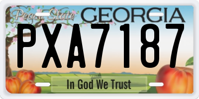 GA license plate PXA7187