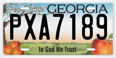 GA license plate PXA7189