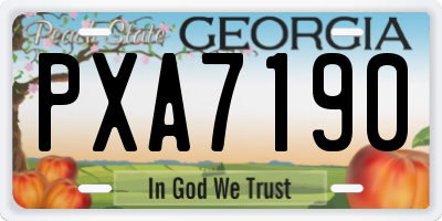GA license plate PXA7190