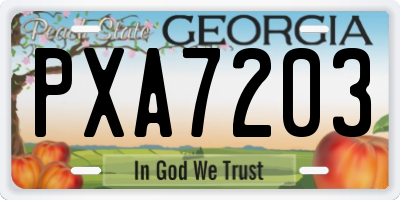 GA license plate PXA7203
