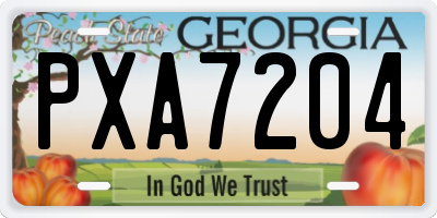 GA license plate PXA7204