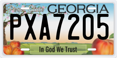 GA license plate PXA7205