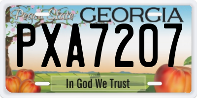 GA license plate PXA7207