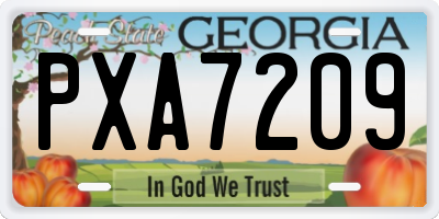 GA license plate PXA7209