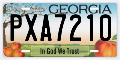 GA license plate PXA7210