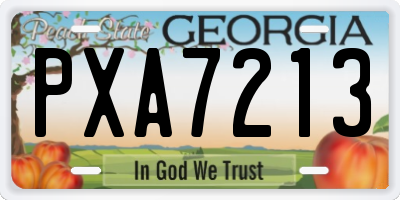 GA license plate PXA7213