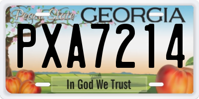 GA license plate PXA7214