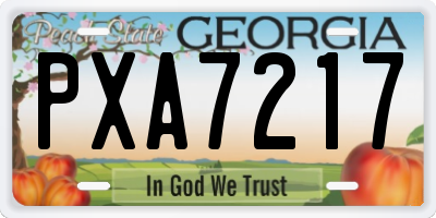 GA license plate PXA7217