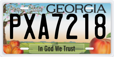 GA license plate PXA7218