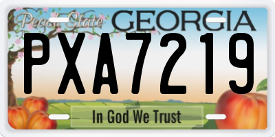 GA license plate PXA7219