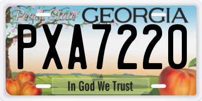 GA license plate PXA7220