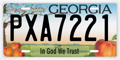 GA license plate PXA7221