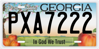 GA license plate PXA7222