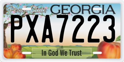 GA license plate PXA7223