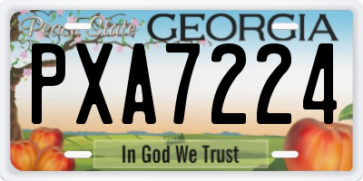 GA license plate PXA7224