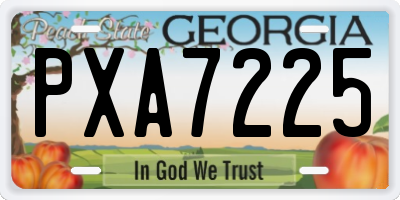 GA license plate PXA7225