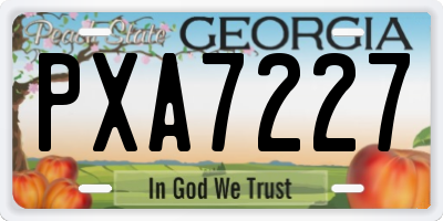 GA license plate PXA7227