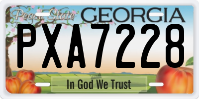 GA license plate PXA7228