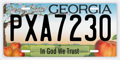 GA license plate PXA7230