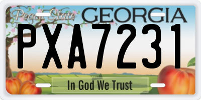 GA license plate PXA7231