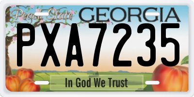GA license plate PXA7235