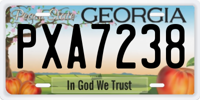GA license plate PXA7238