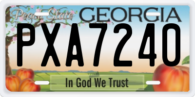 GA license plate PXA7240