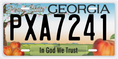 GA license plate PXA7241