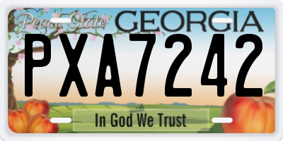 GA license plate PXA7242